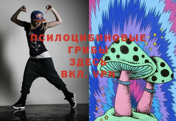 spice Алексеевка