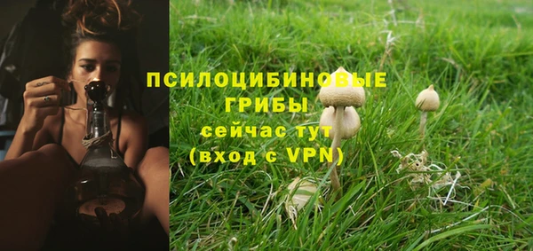 молекула духа Абдулино
