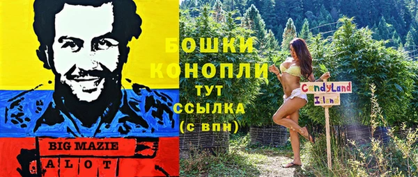 spice Алексеевка